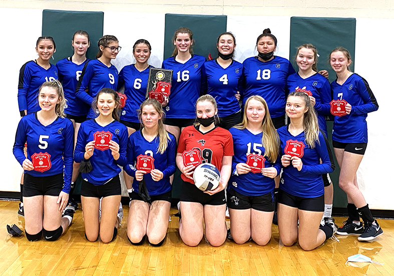 Gowanda Falls To Portville In Class C2 Volleyball Final News, Sports